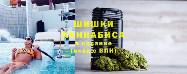 амф Дмитриев