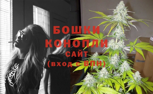 амф Дмитриев