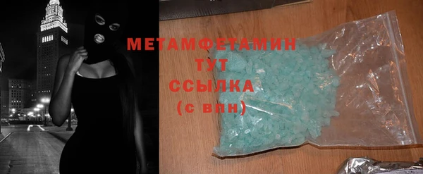 прущие грибы Дмитров