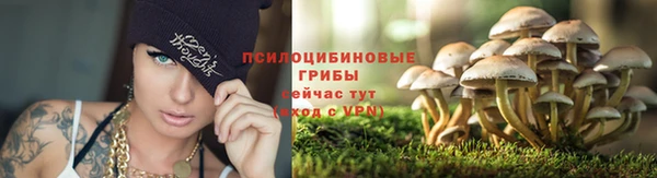 меф Дмитровск
