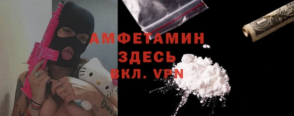 прущие грибы Дмитров