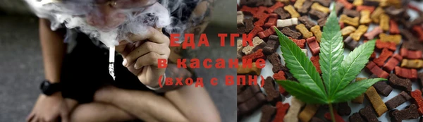 крисы Тында