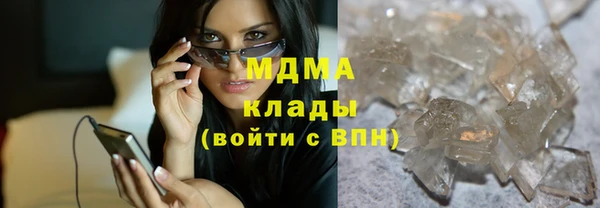 прущие грибы Дмитров
