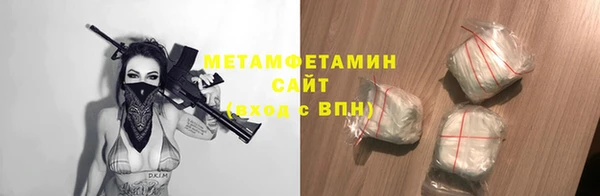 прущие грибы Дмитров