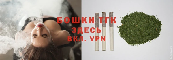 амф Дмитриев