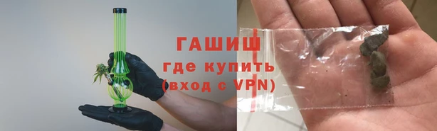 прущие грибы Дмитров