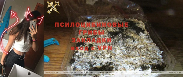 амф Дмитриев