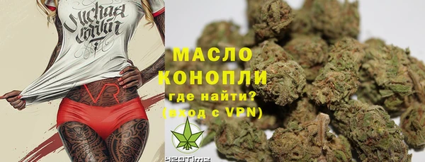 амф Дмитриев