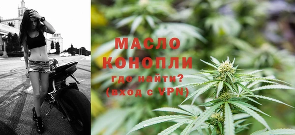 индика Туринск