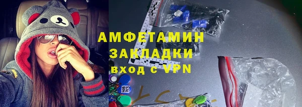амф Дмитриев