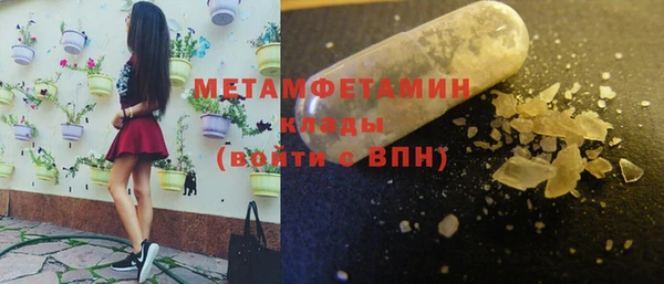 прущие грибы Дмитров