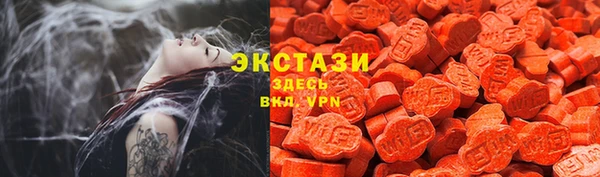прущие грибы Дмитров