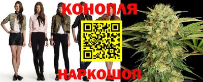 эйфоретик Славгород