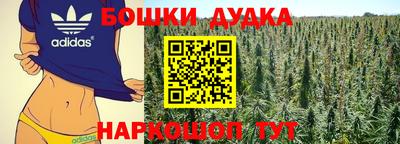наркотики Сланцы